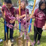 Arbor Day 2025
