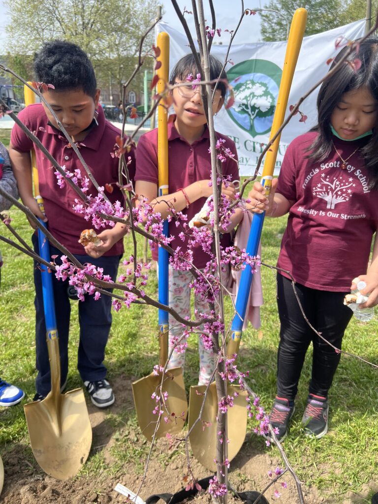 Arbor Day 2025