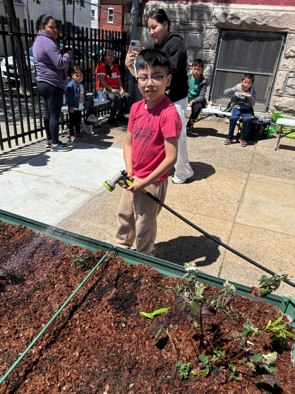 New garden construction 2025