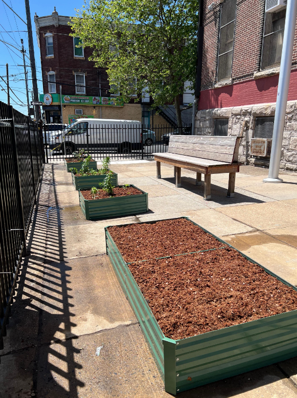New garden construction 2025