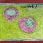 donut still life 2025-2026