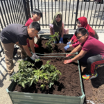 Key garden 2026